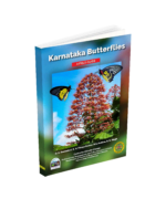 Karnataka Butterflies: A Field Guide (Edition1) - Image 3