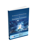Revitalization of Business Strategy in Emerging Economies - Image 3