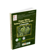 Finger Millet, Natures Master Grain - A Souvenir - Image 3