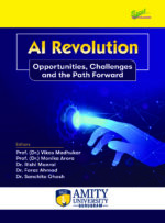 AI Revolution: Opportunities, Challenges, and the Path Forward