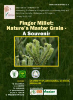 Finger Millet, Natures Master Grain - A Souvenir